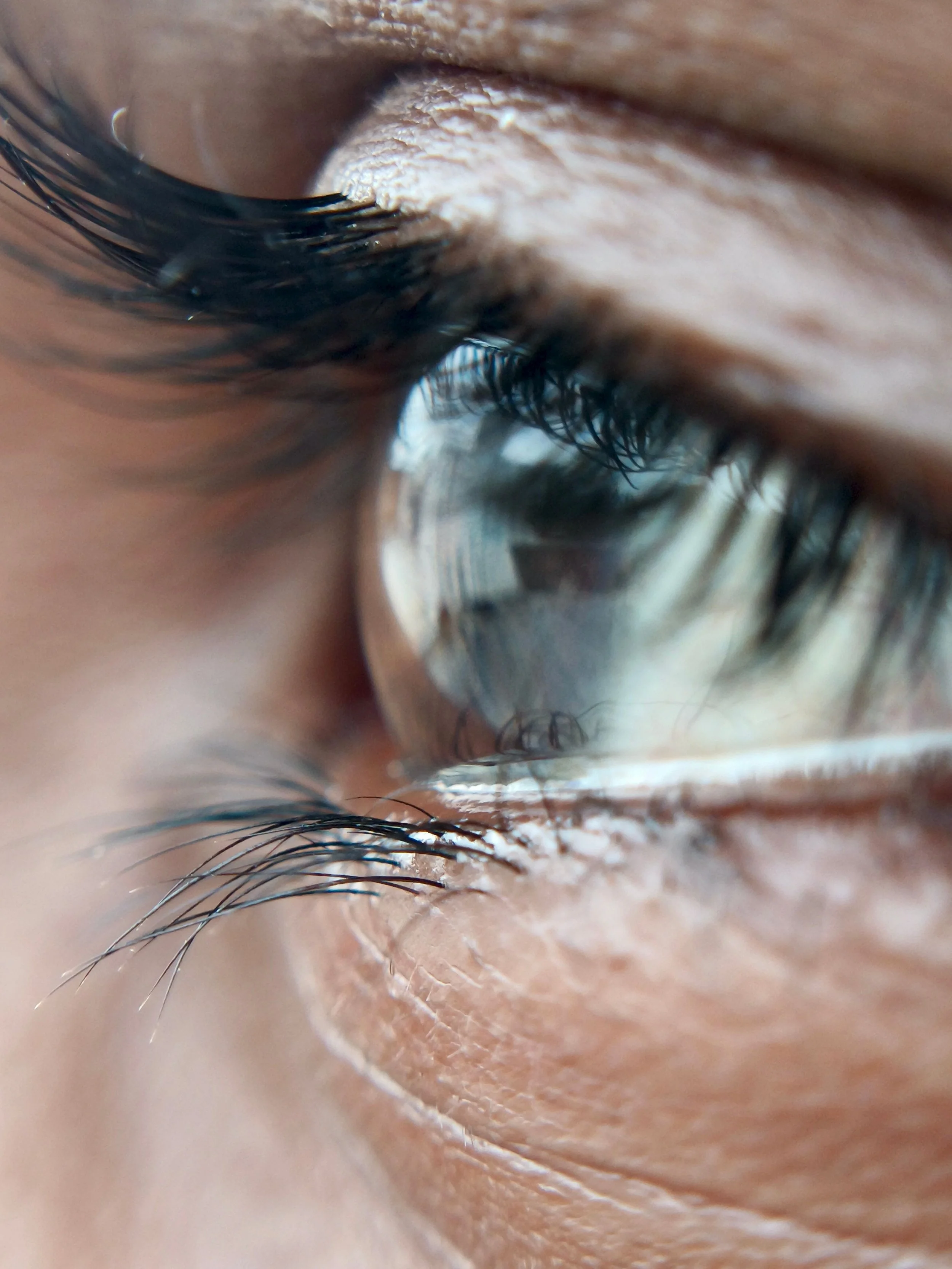 Close-up eye and lashes
