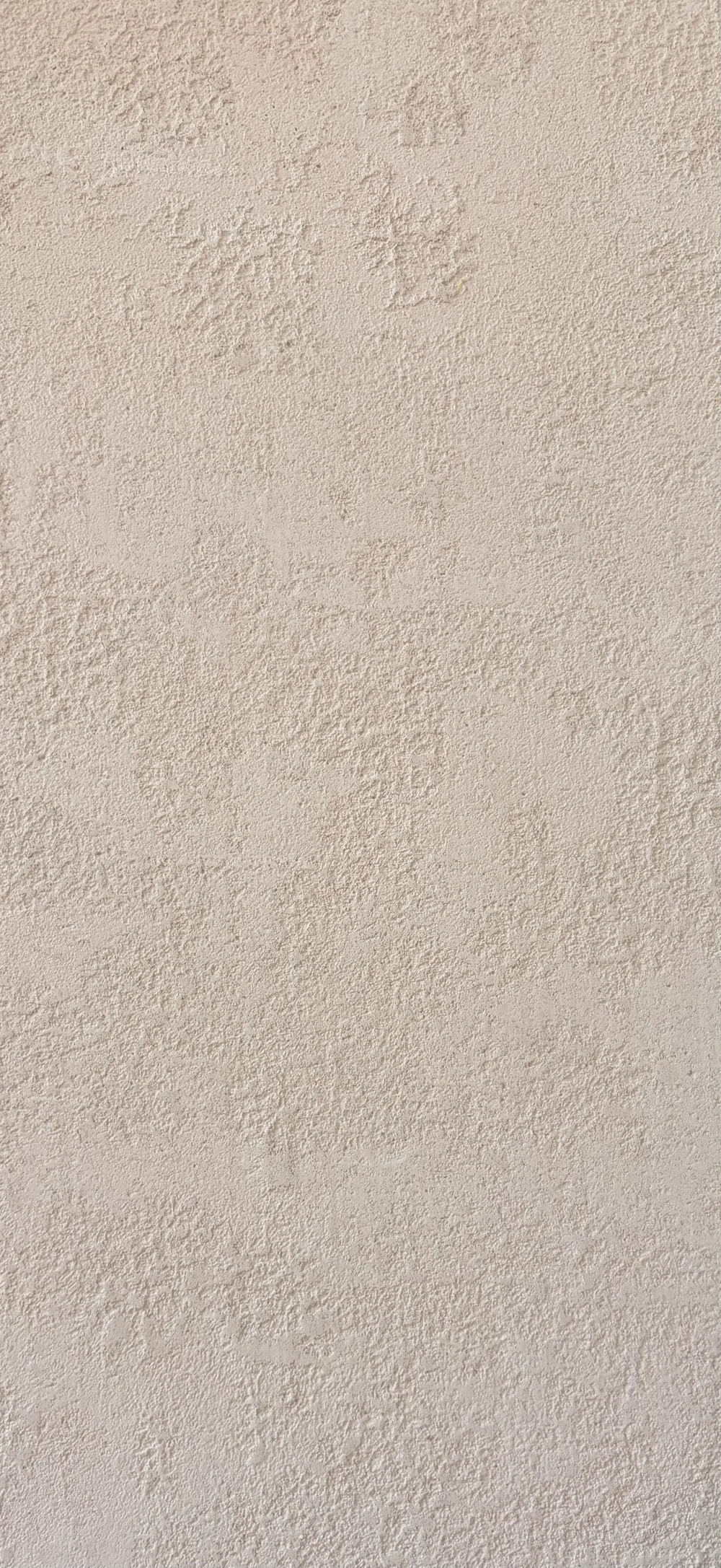 Close-up of a warm neutral plaster finish with fine surface texture
