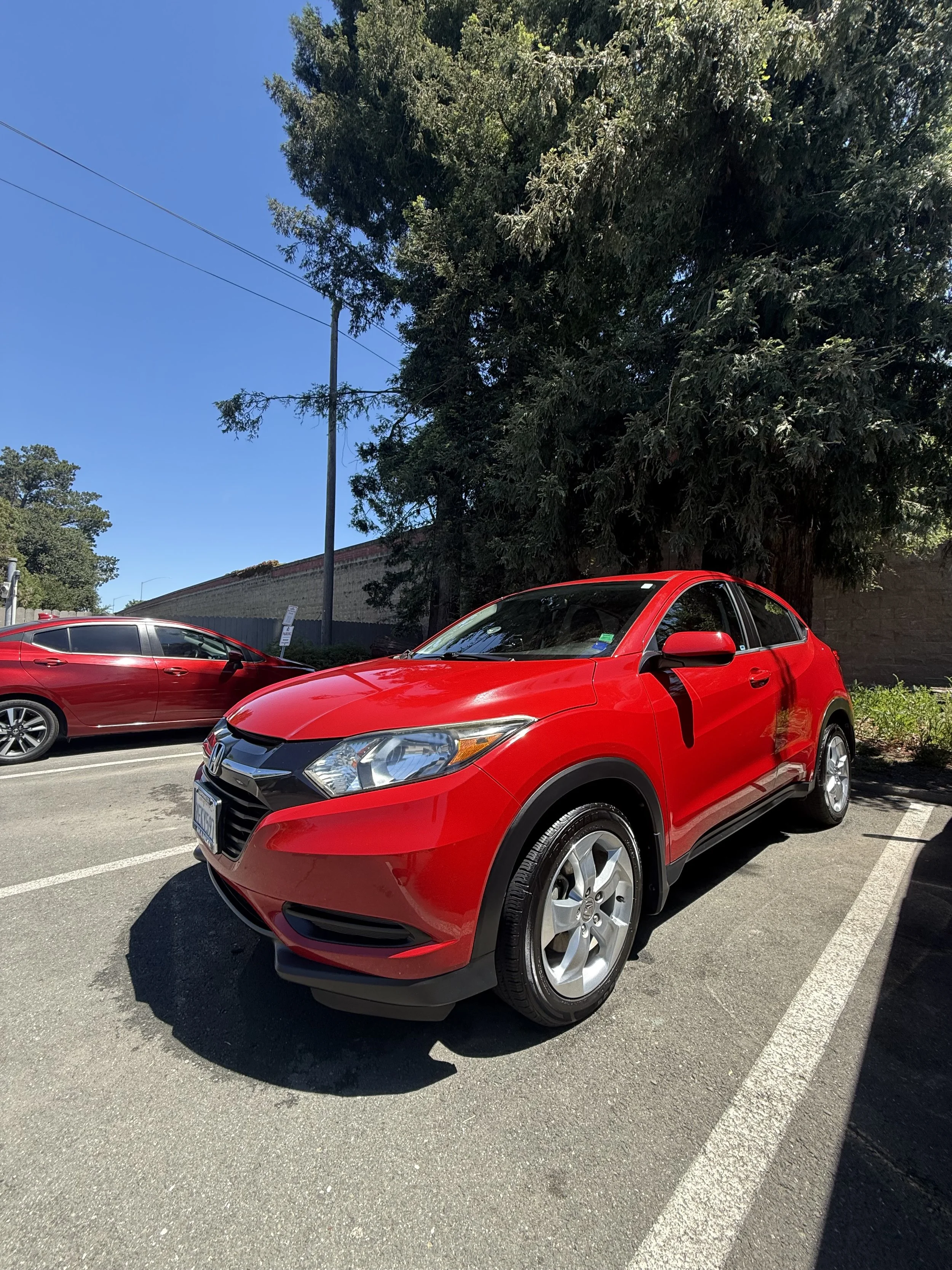 Blue Diamond Auto Detailing work