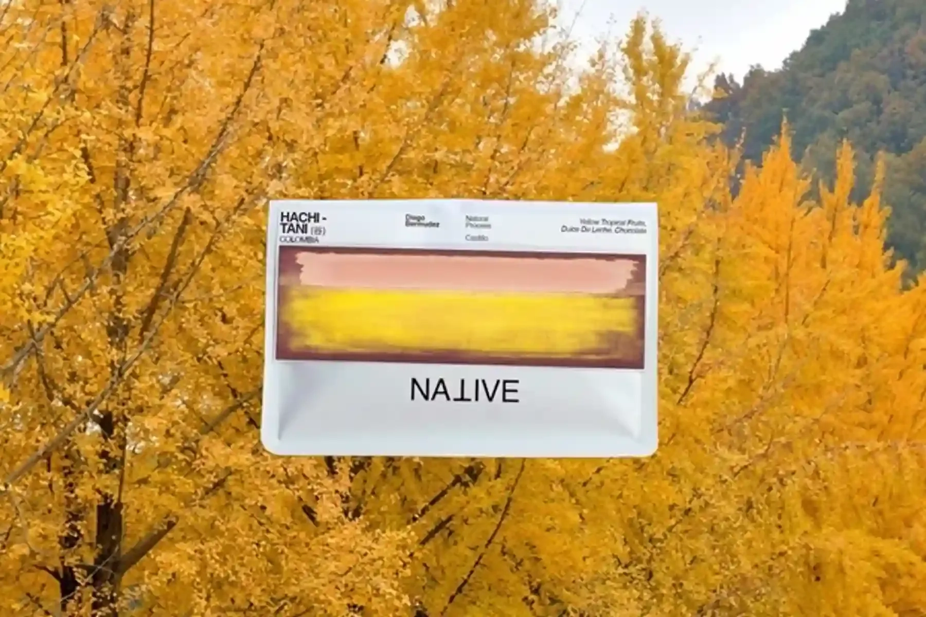 A bag of Native Hachi-Tani coffee over a background of trees with yellow leaves