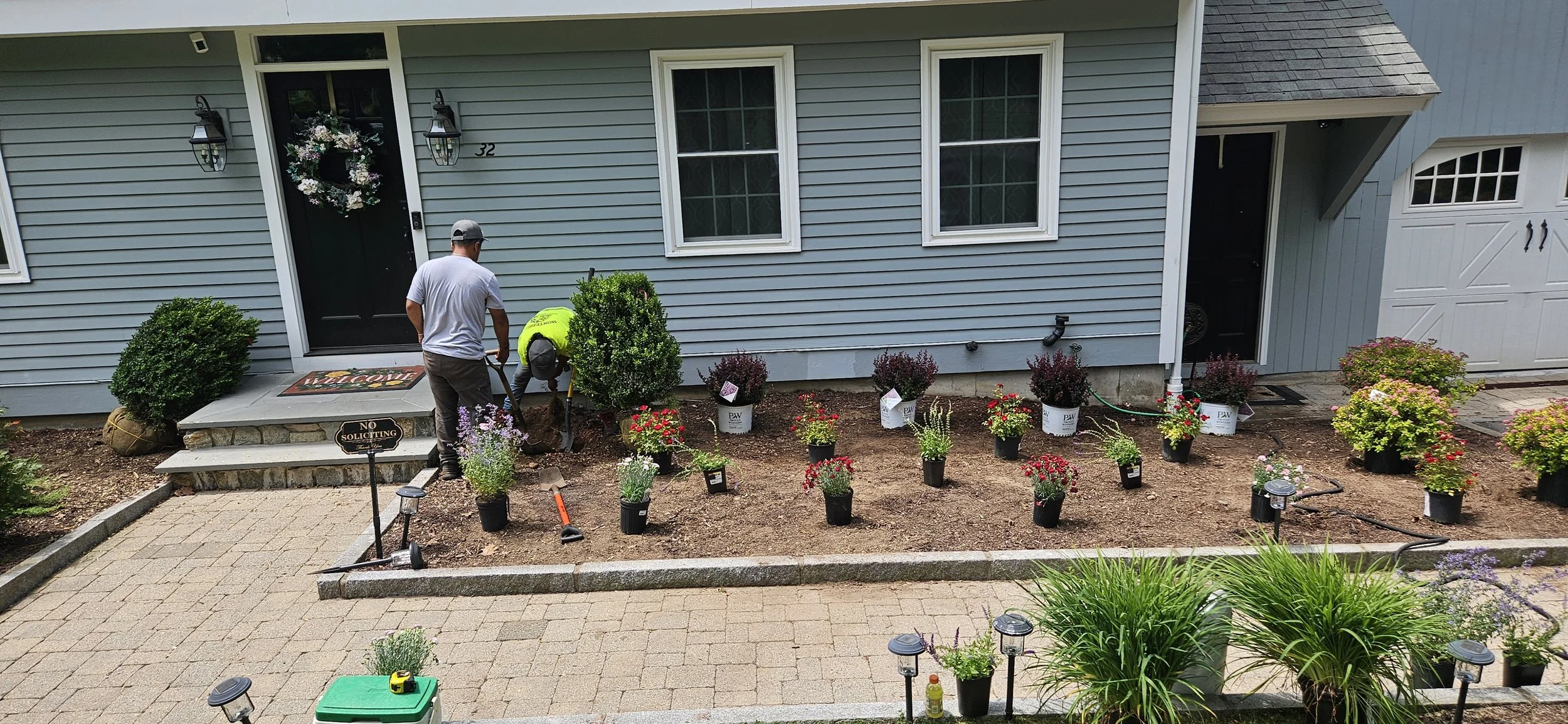 Landscape project