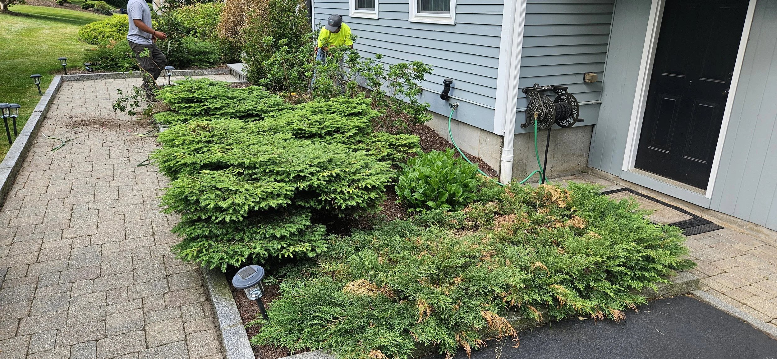 Landscaping project
