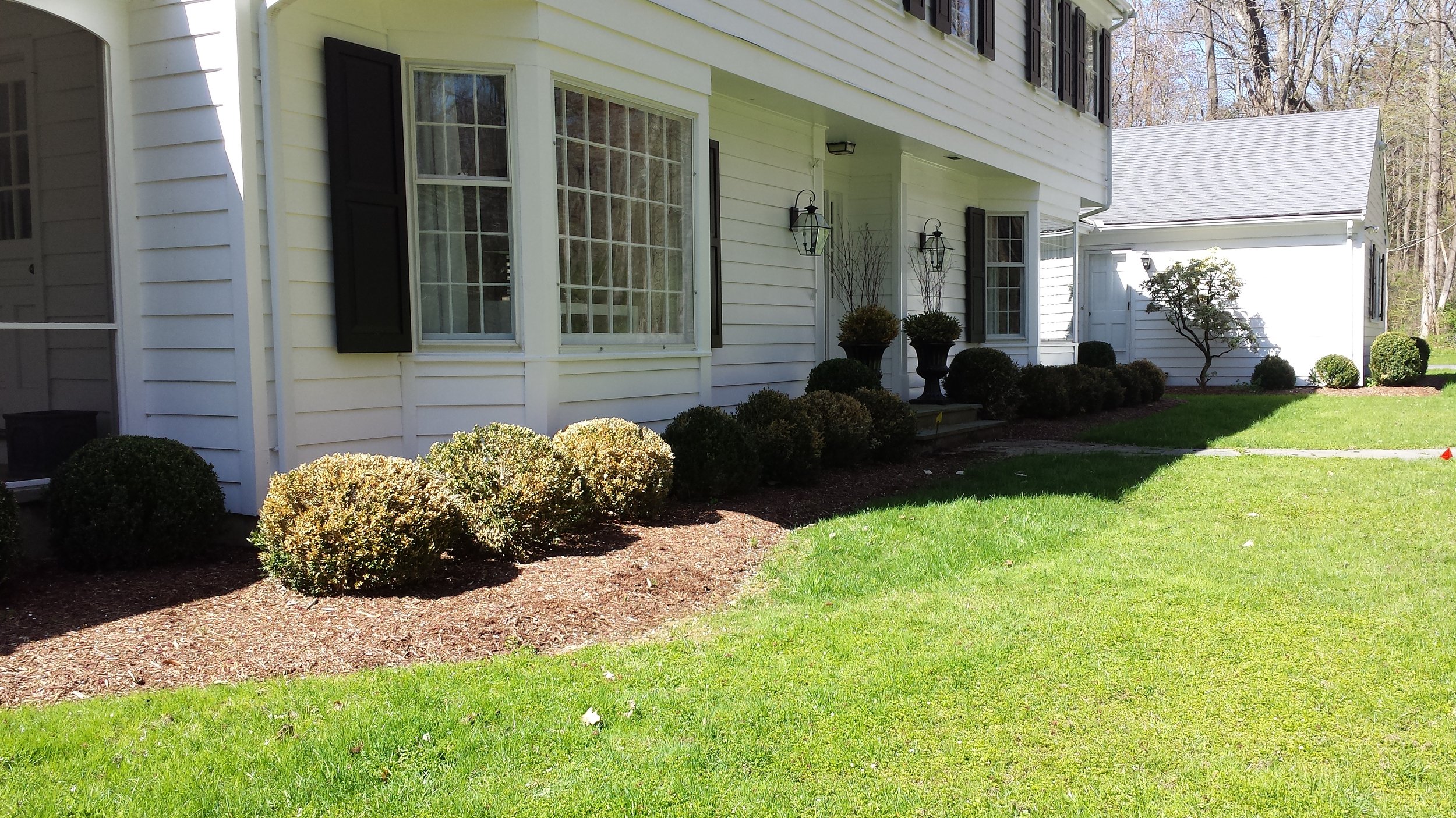 Landscape design