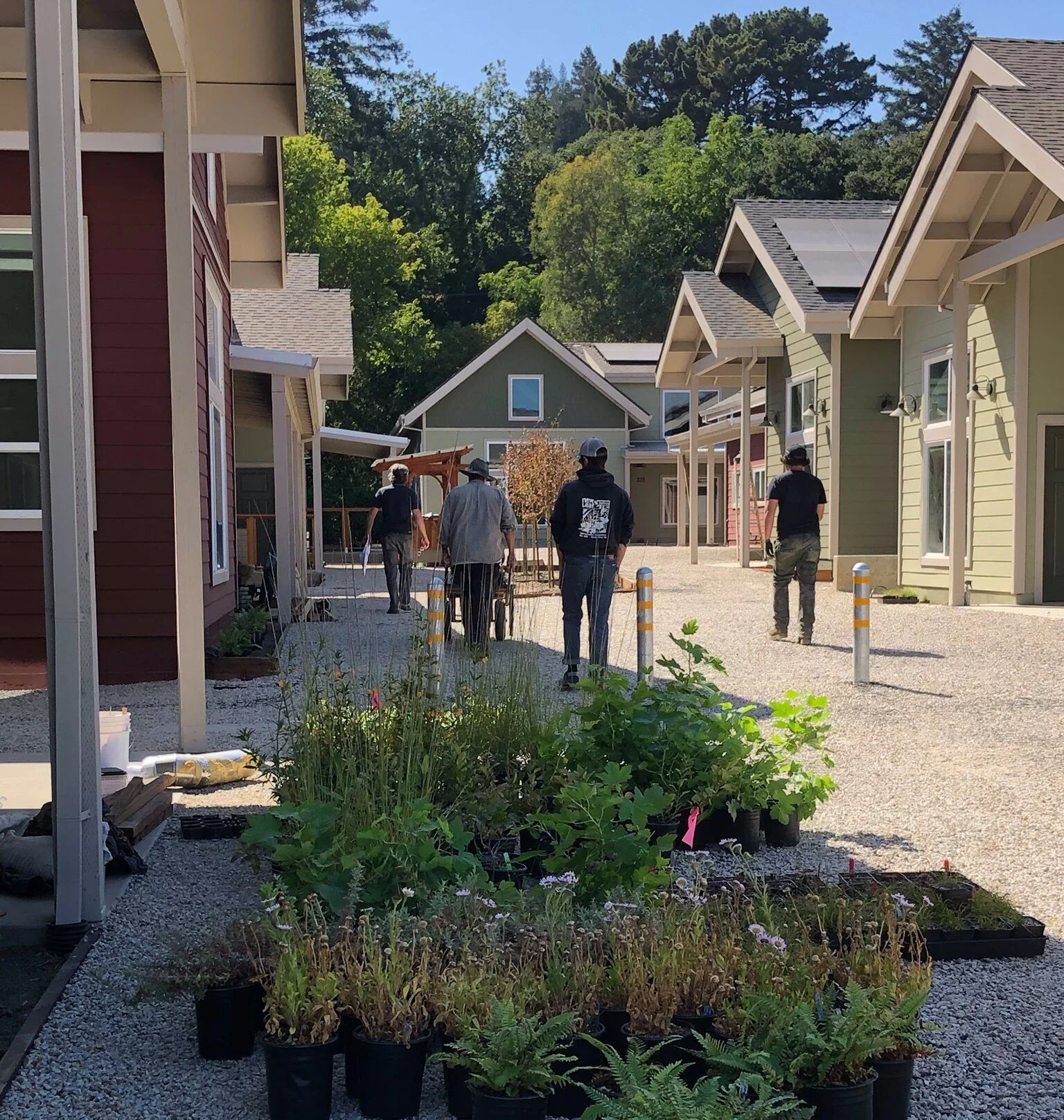  Preparing to add landscaping around the new homes. 