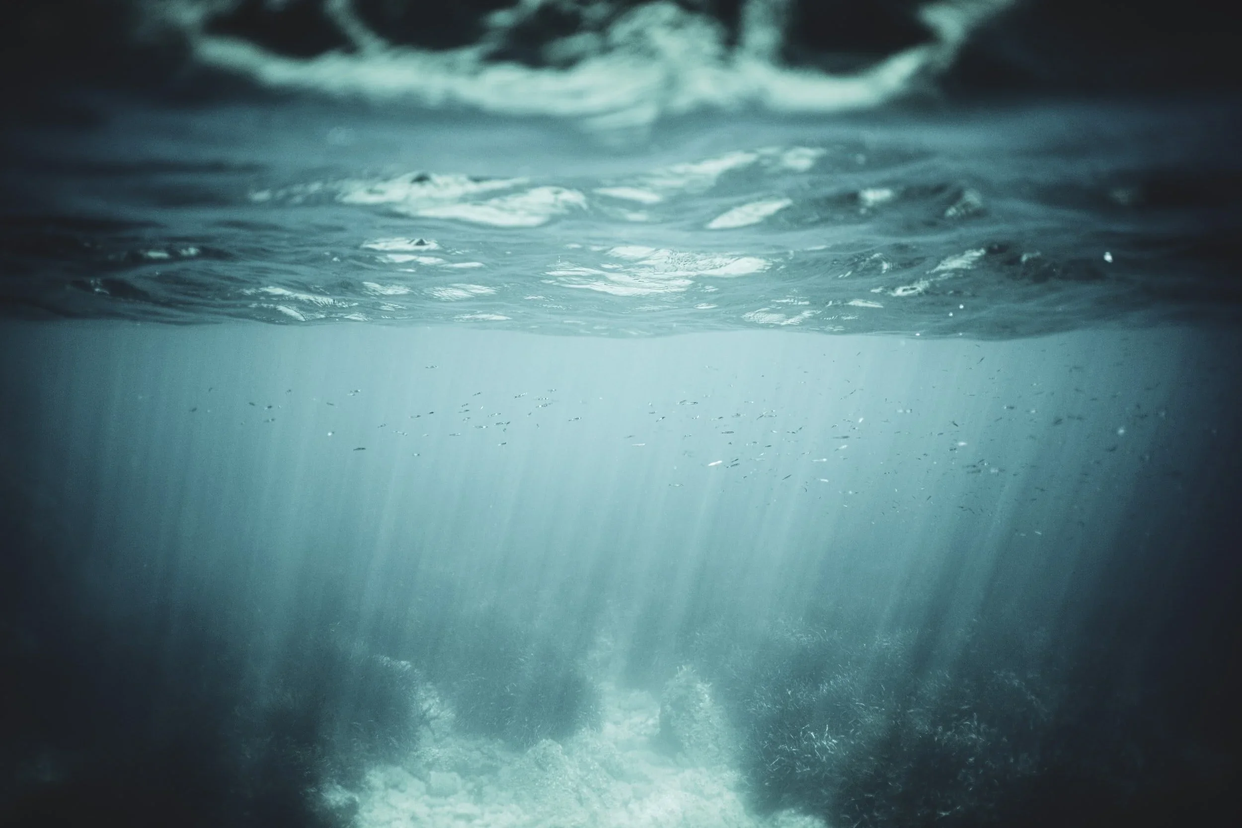  Profound derives from terms meaning deep knowledge and understanding. 