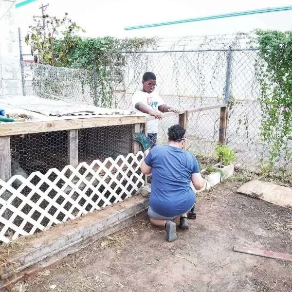  Jojo at one of his co-ops where he is helping to build a fence for the garden. 