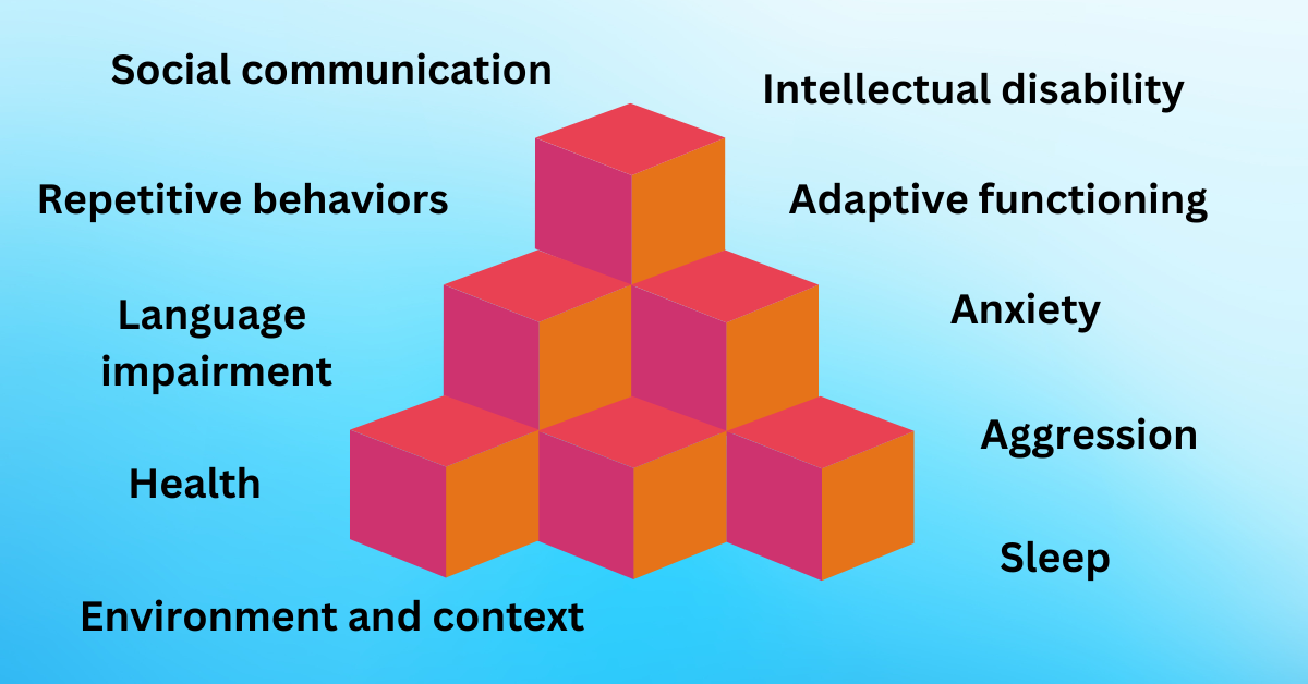  Image by NCSA based on ideas contained in the commentary in  Autism Research . 