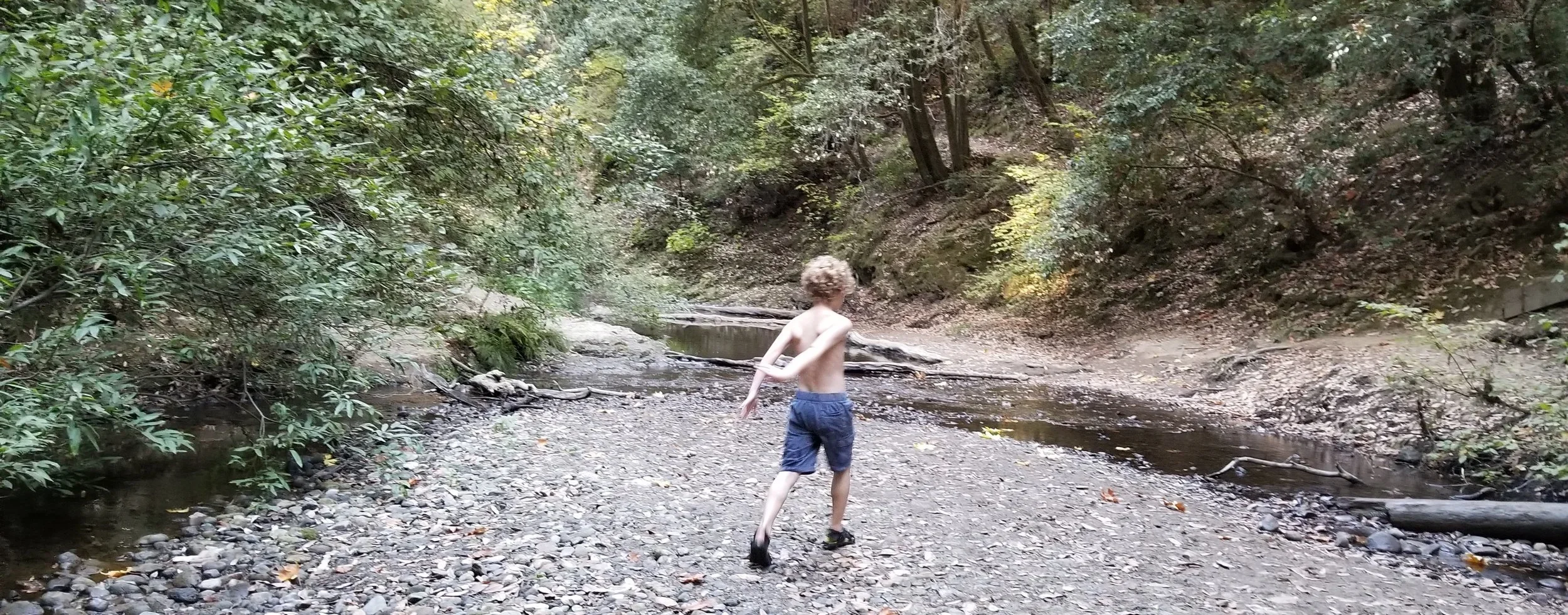  My precious boy enjoying a summer day at his favorite nature spot—he would live in the woods if we let him. 