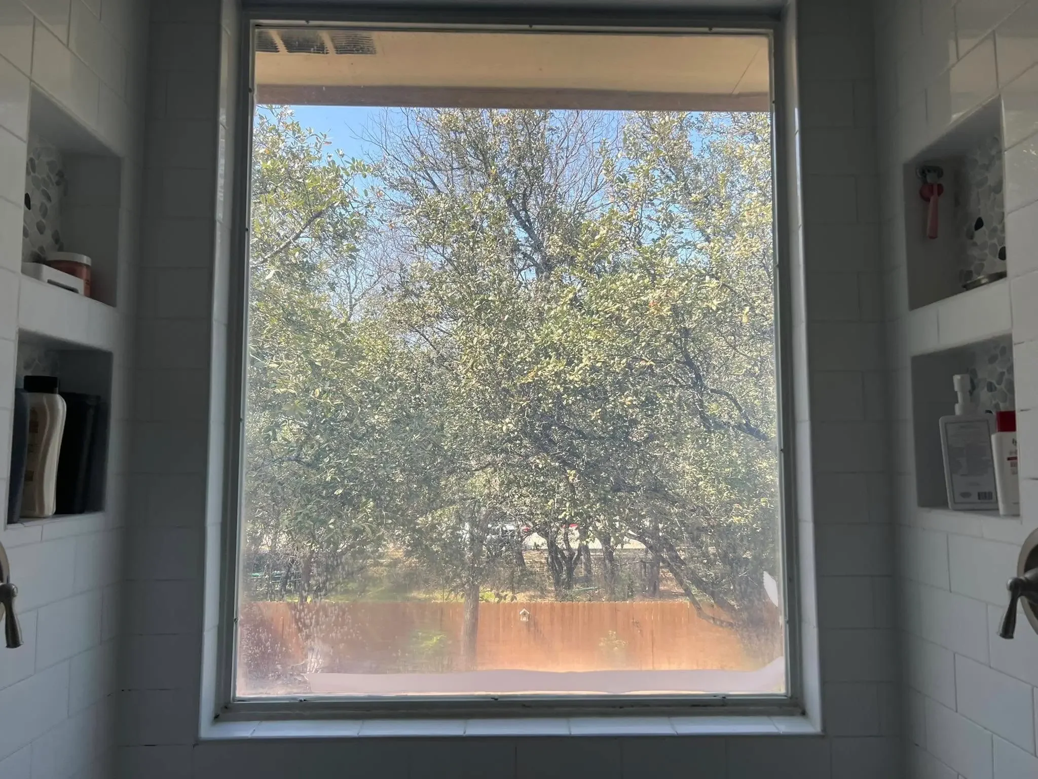 Before Window Cleaning