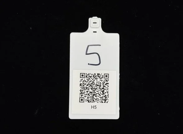 DIY printed QR label on a HiveLogger backing tag