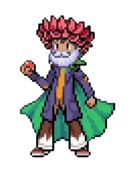 Gym Leader