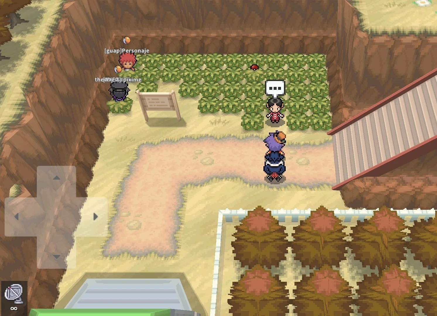 trainer