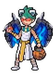 Gym Leader