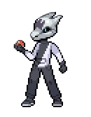 Gym Leader