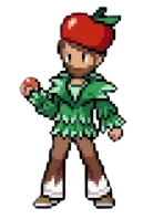 Gym Leader