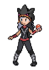 Gym Leader