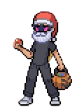 Gym Leader
