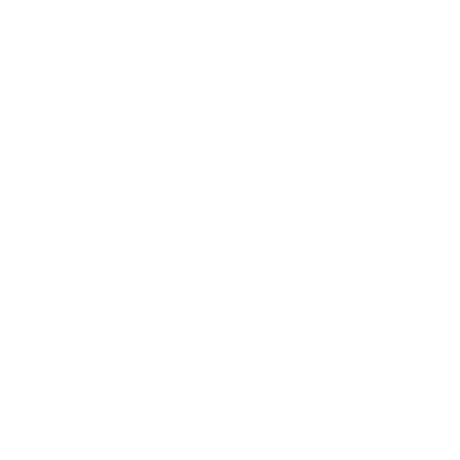 Secure Payment