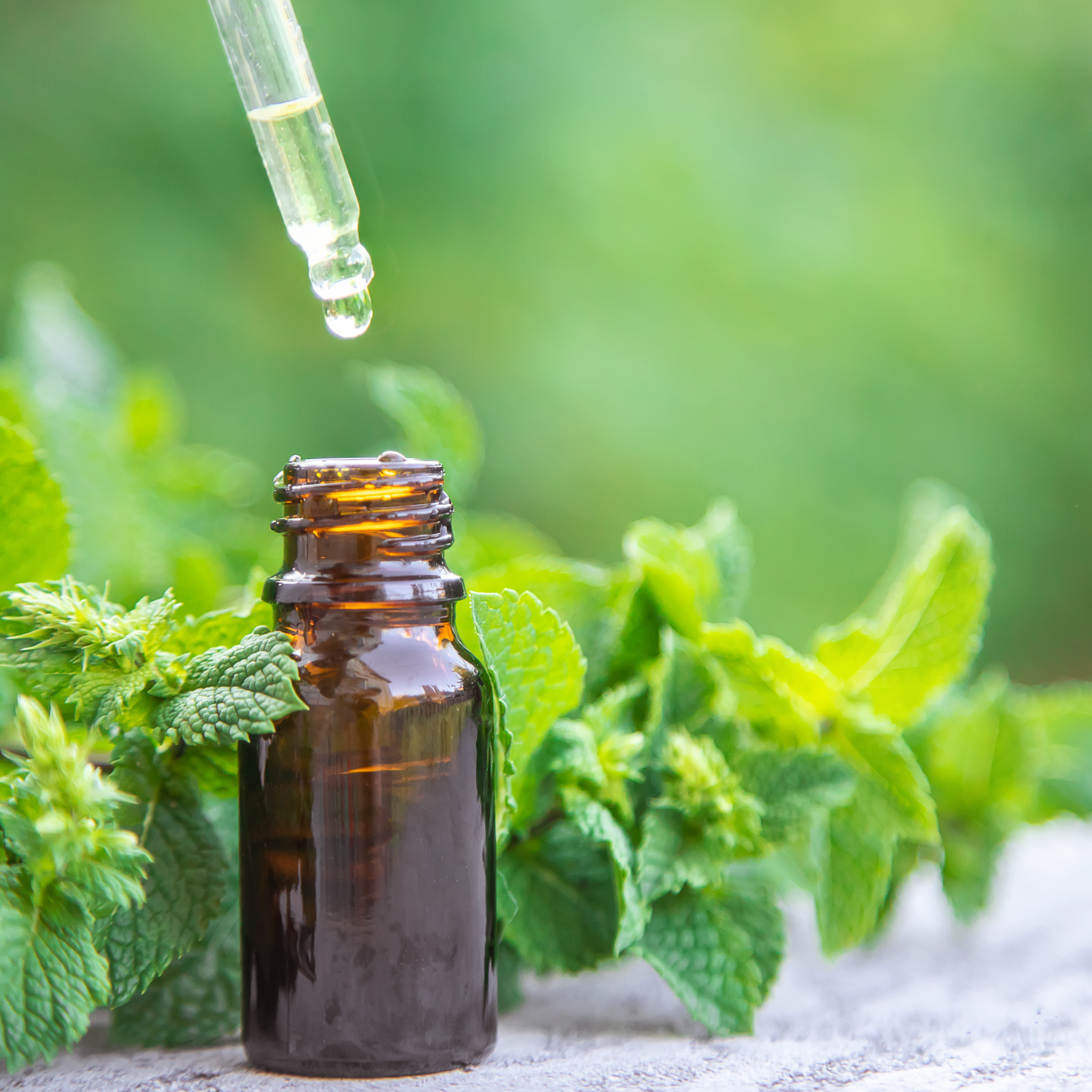 Menthol Oil