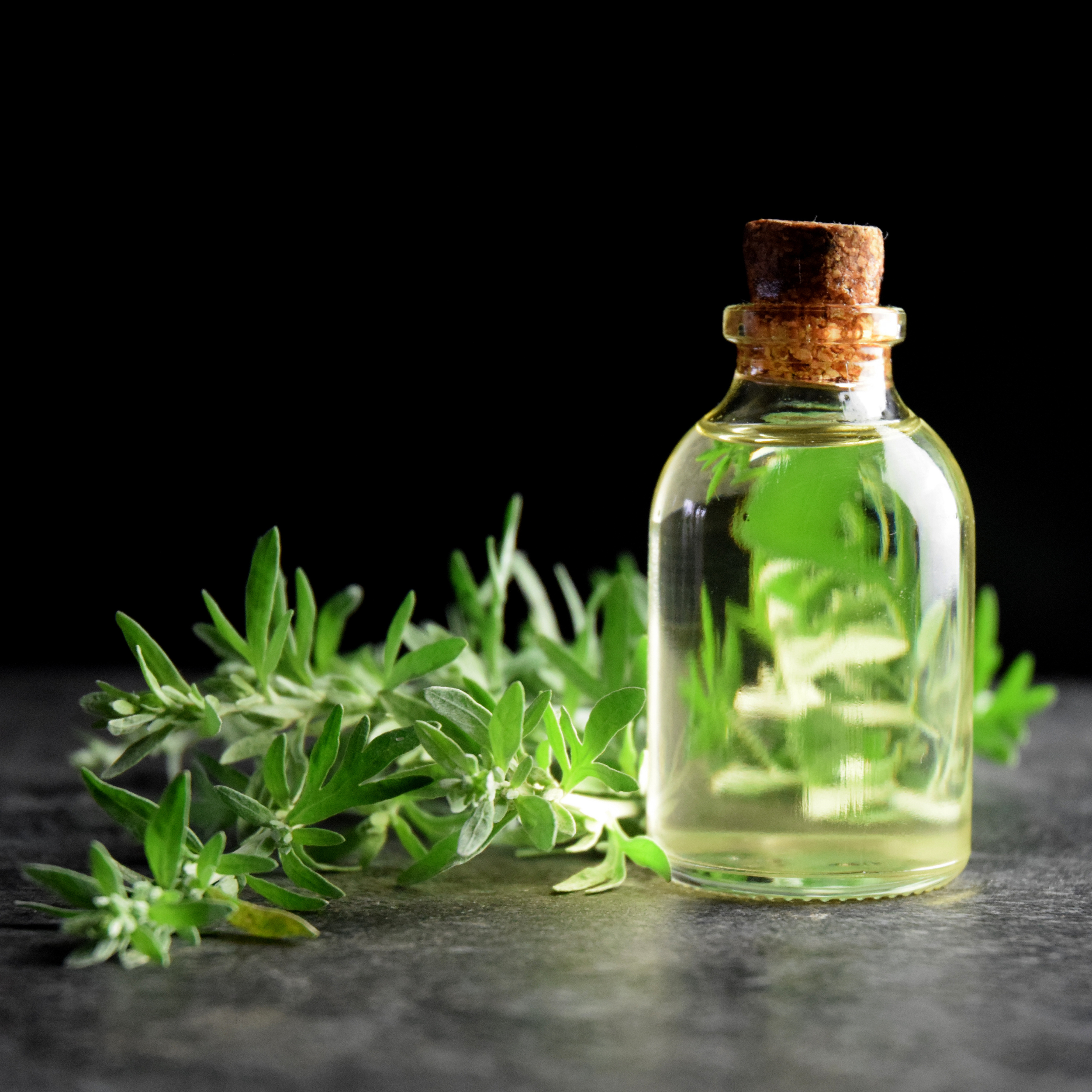 Wormwood Oil