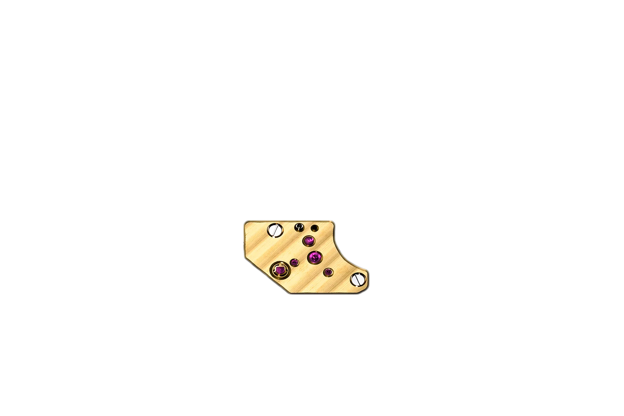 Protective shield overlay