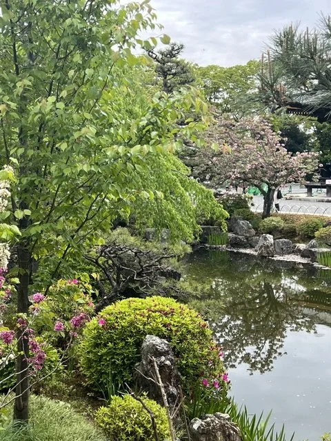 Japanese garden with pond