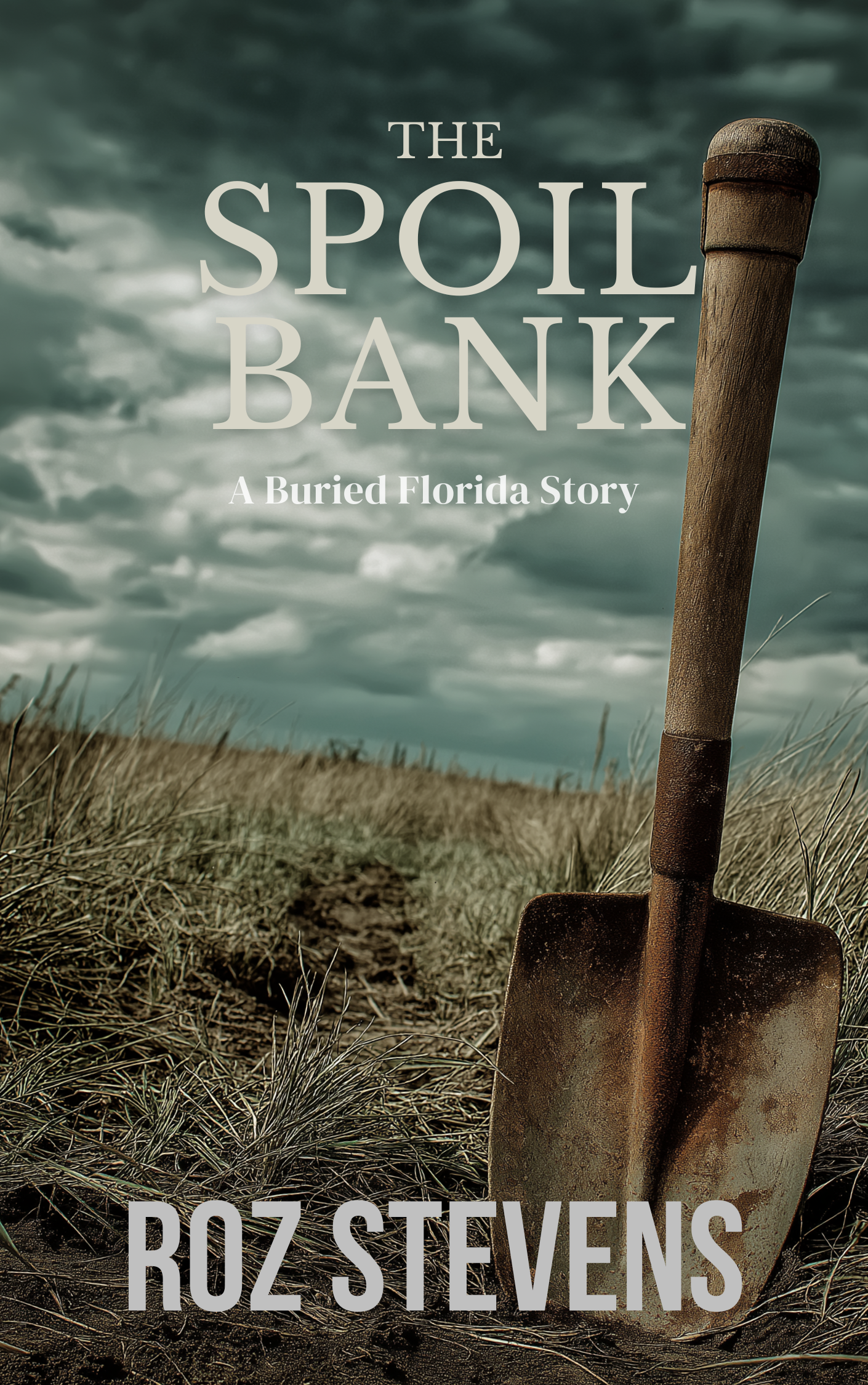 The Spoil Bank book cover