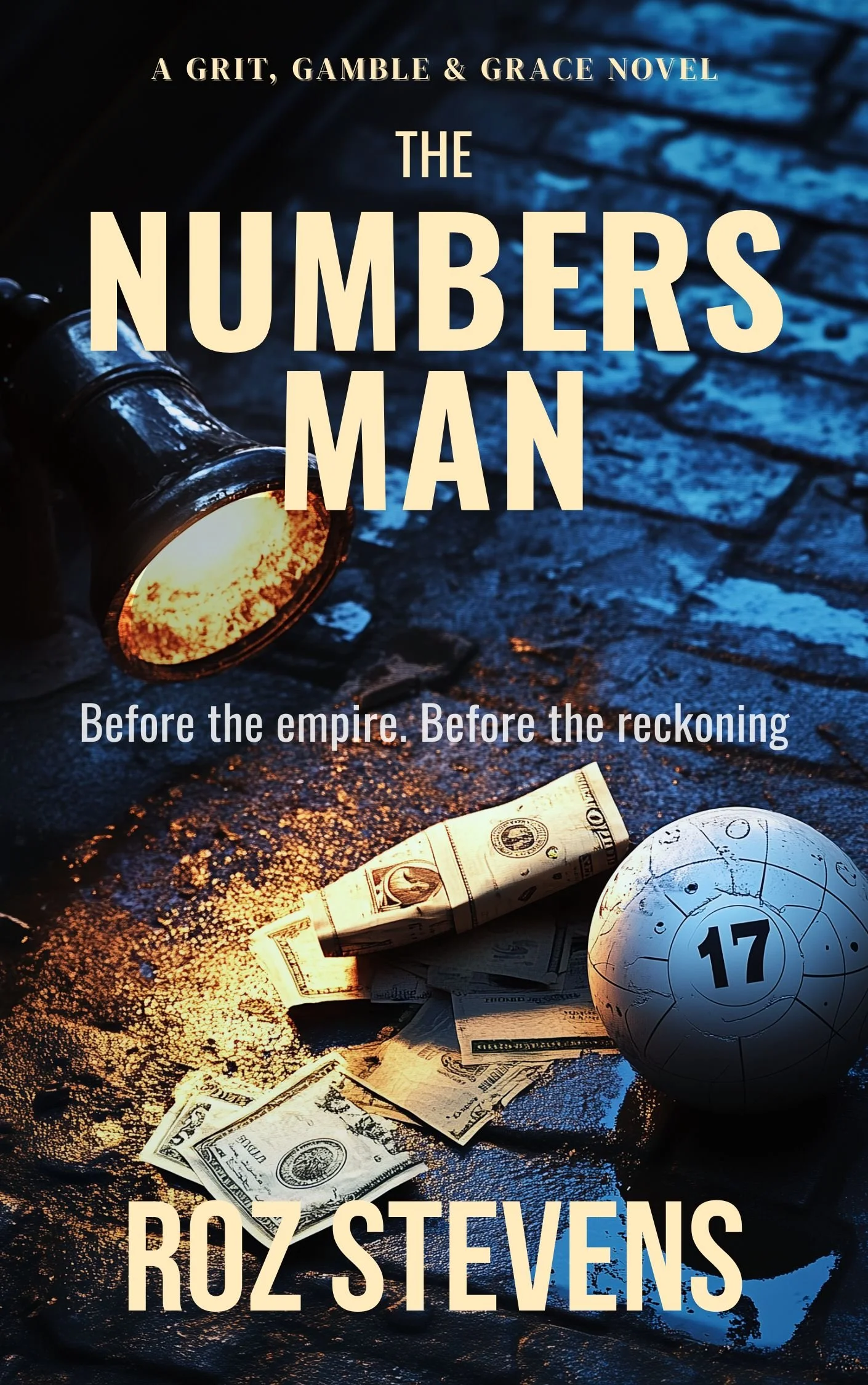 The Numbers Man book cover