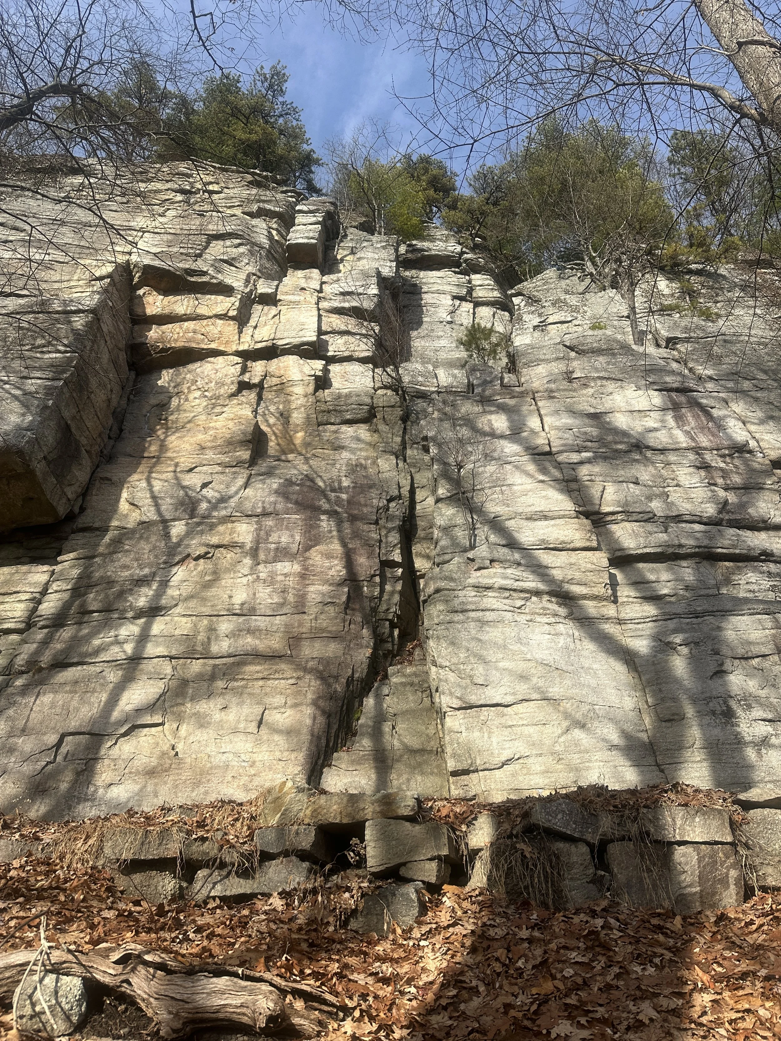Wall of Shawangunk Conglomerate on Undercliff Road