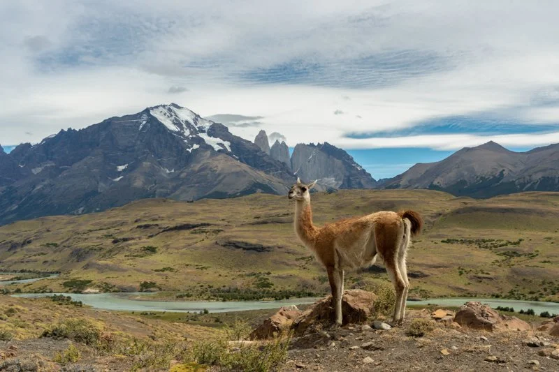 Chile