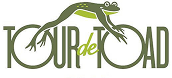 Logo 6