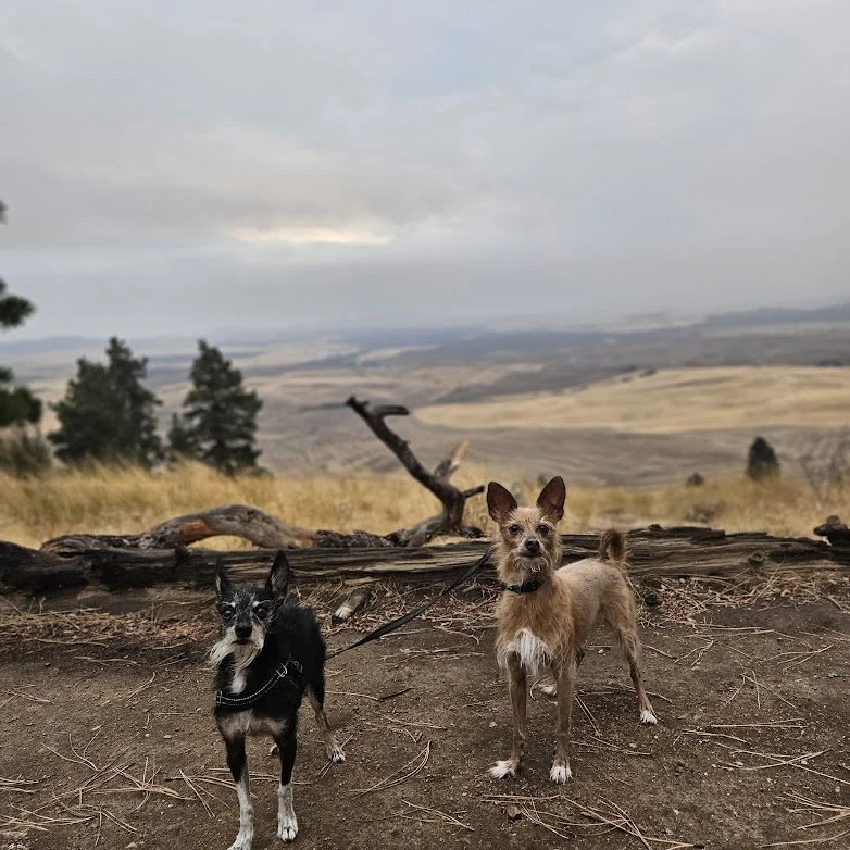 Day Adventure Hike