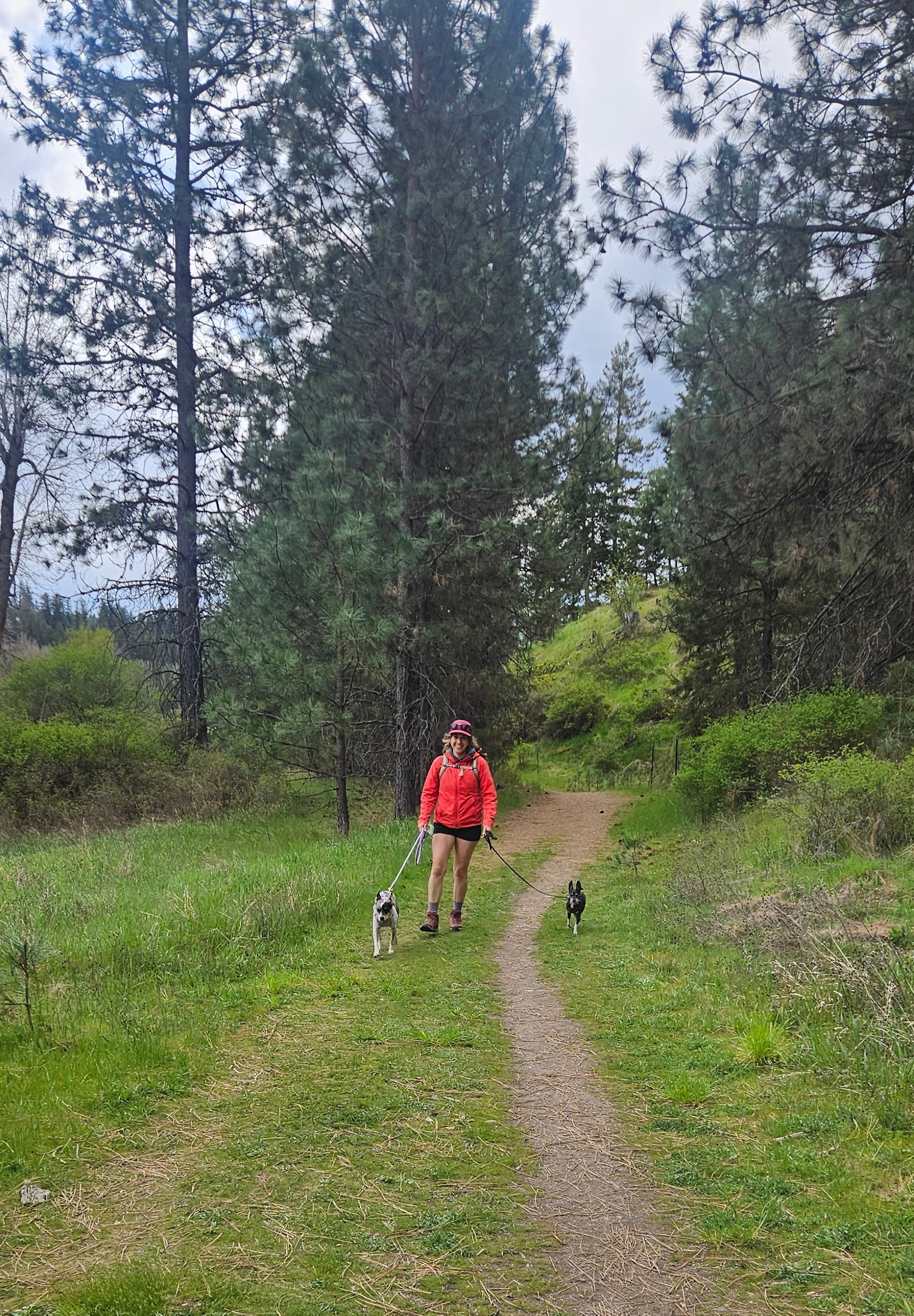 Genevieve with dogs on a trail
