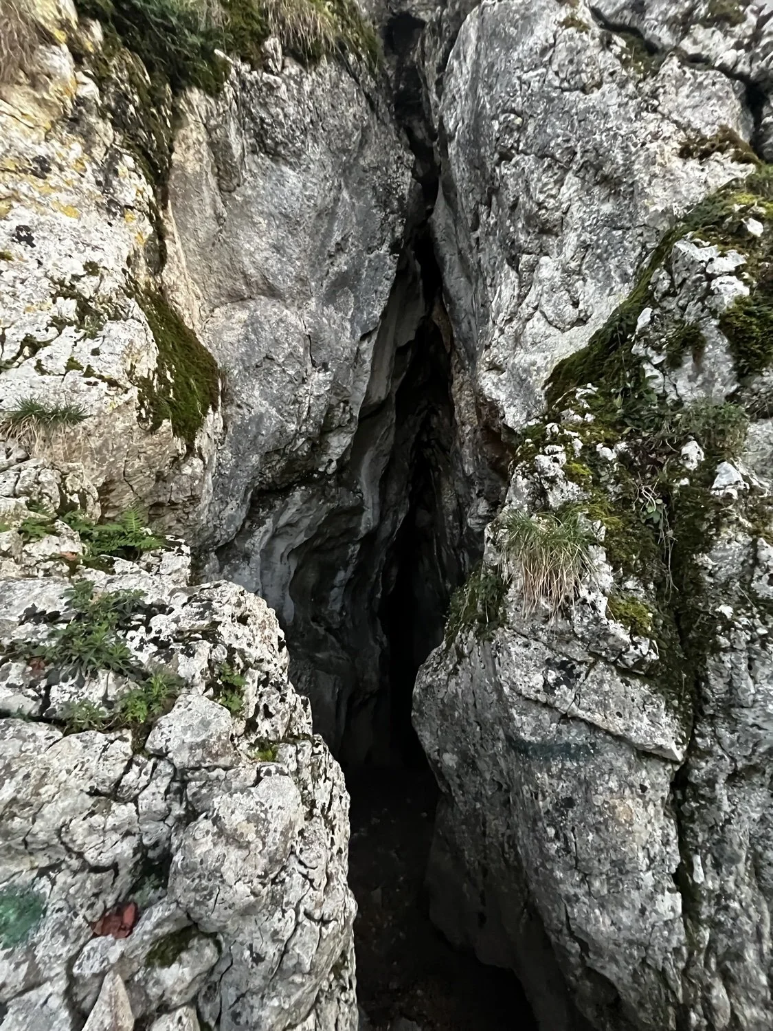 The Cave of Eggs