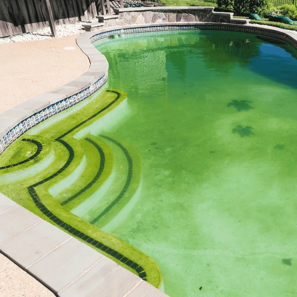 Green Pool Clean Up