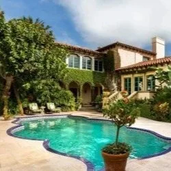 dark green untreated pool water with surface film