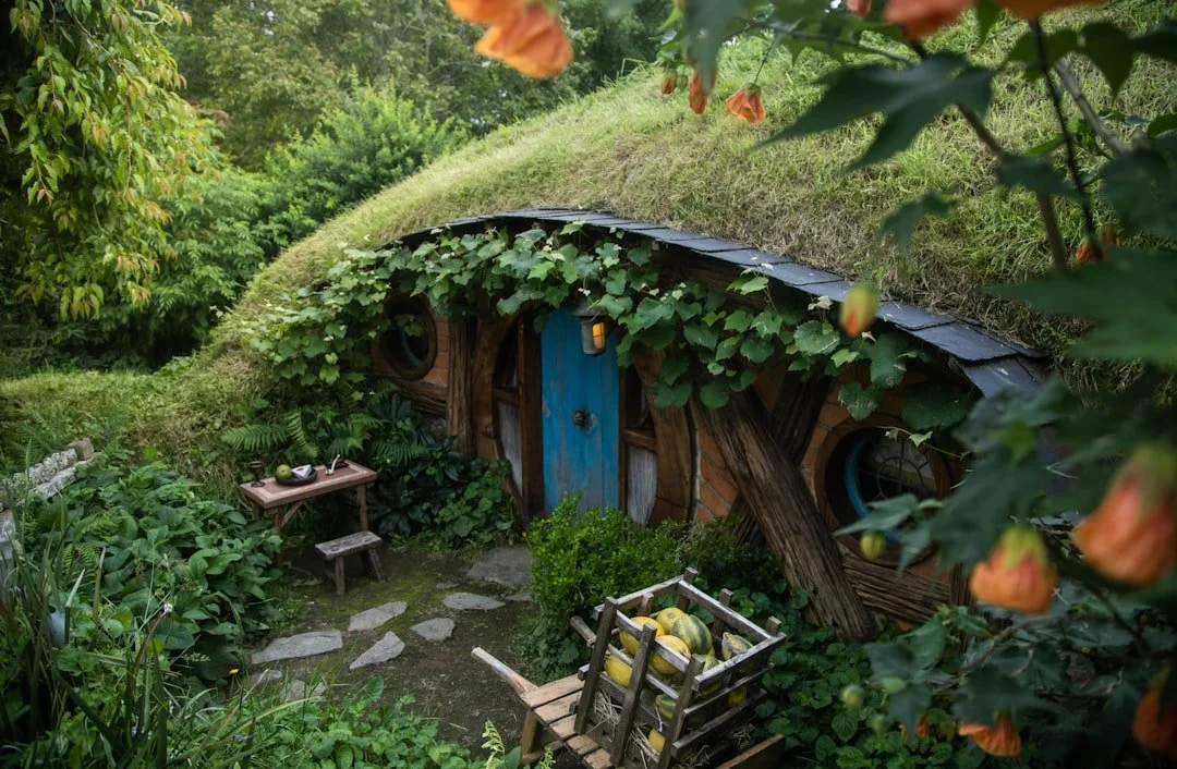 New Zealand Journey 2