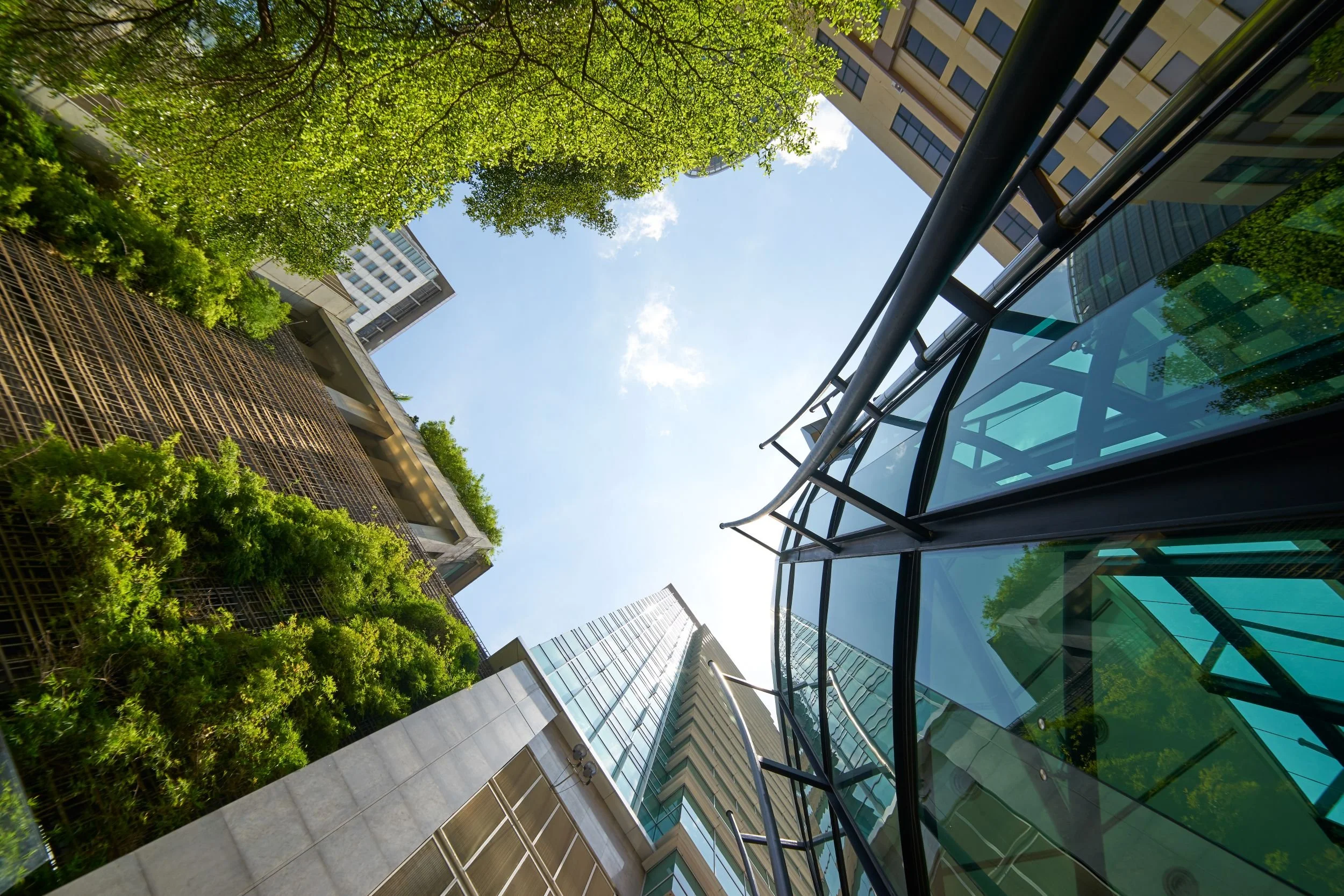 Office building reflected among trees — policy and government relations