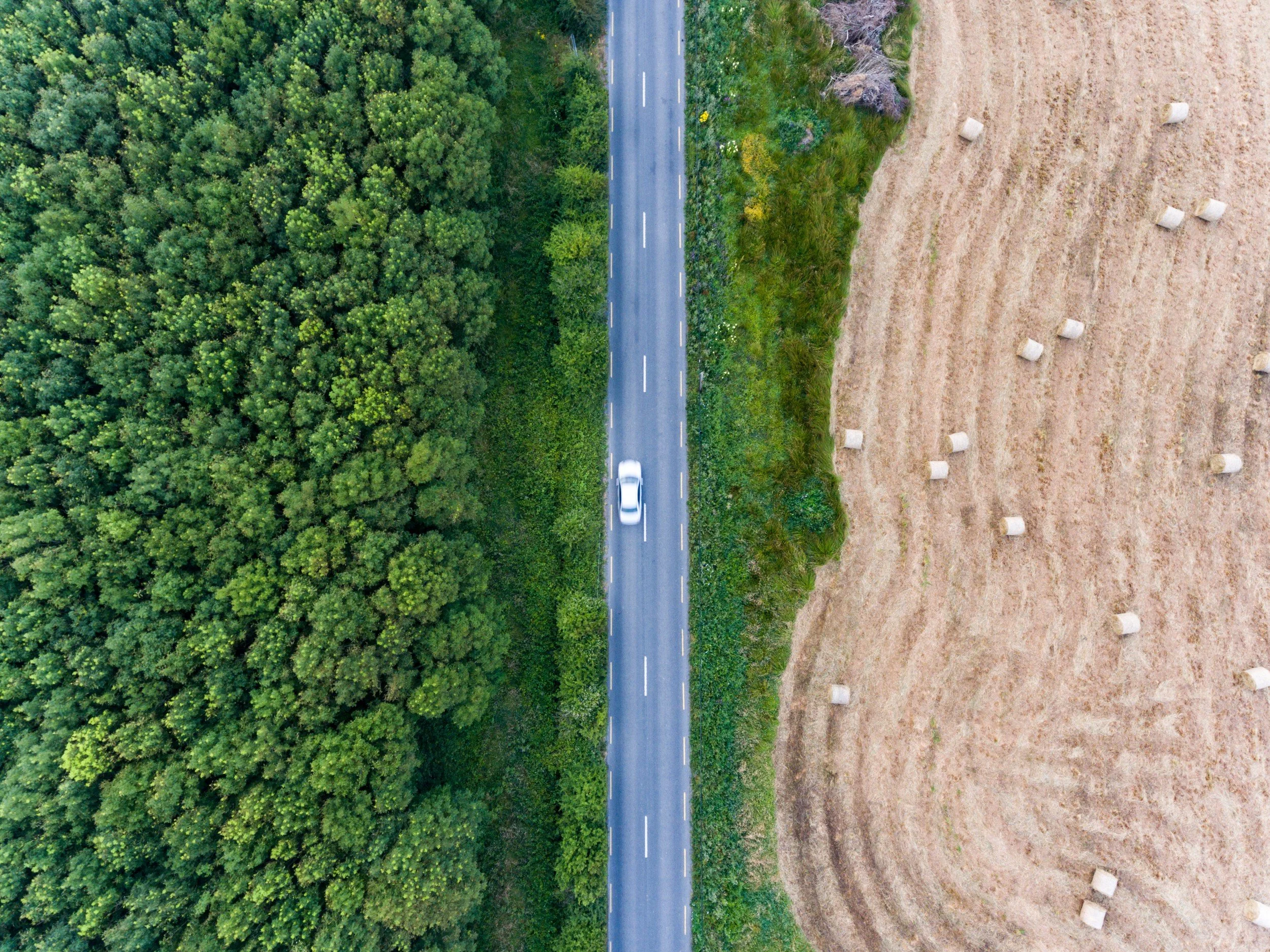 Aerial view of a road between forest and harvested fields — ESG strategy sets the route for a project