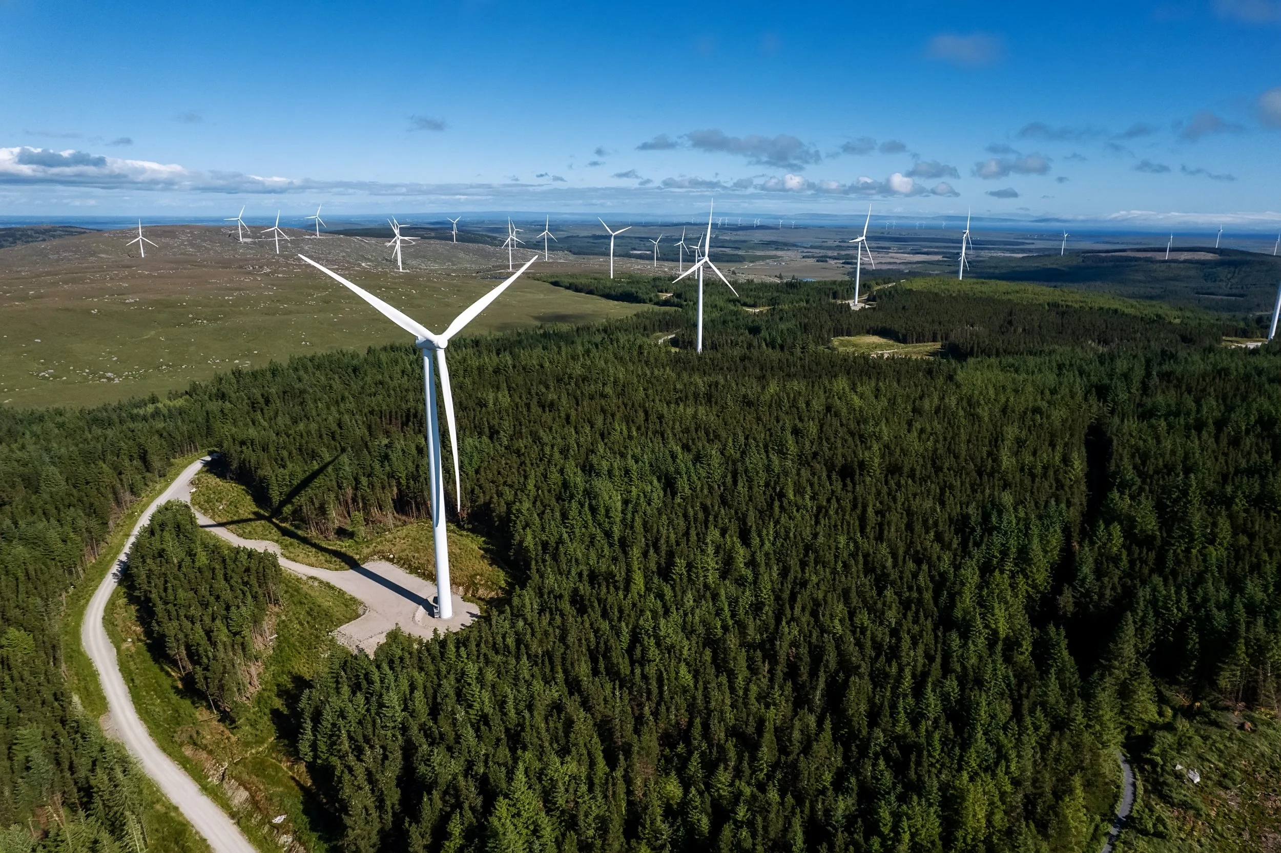 Wind turbines above forest in Ireland — climate strategy and decarbonisation for energy projects