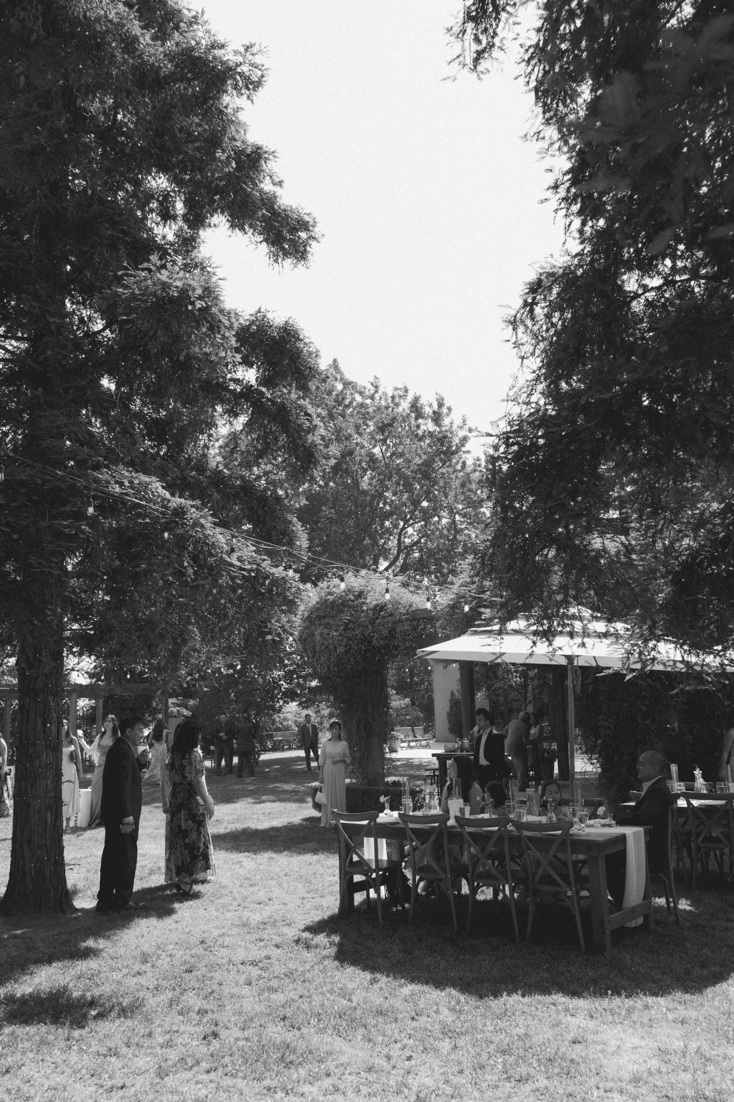 Wedding Day Management