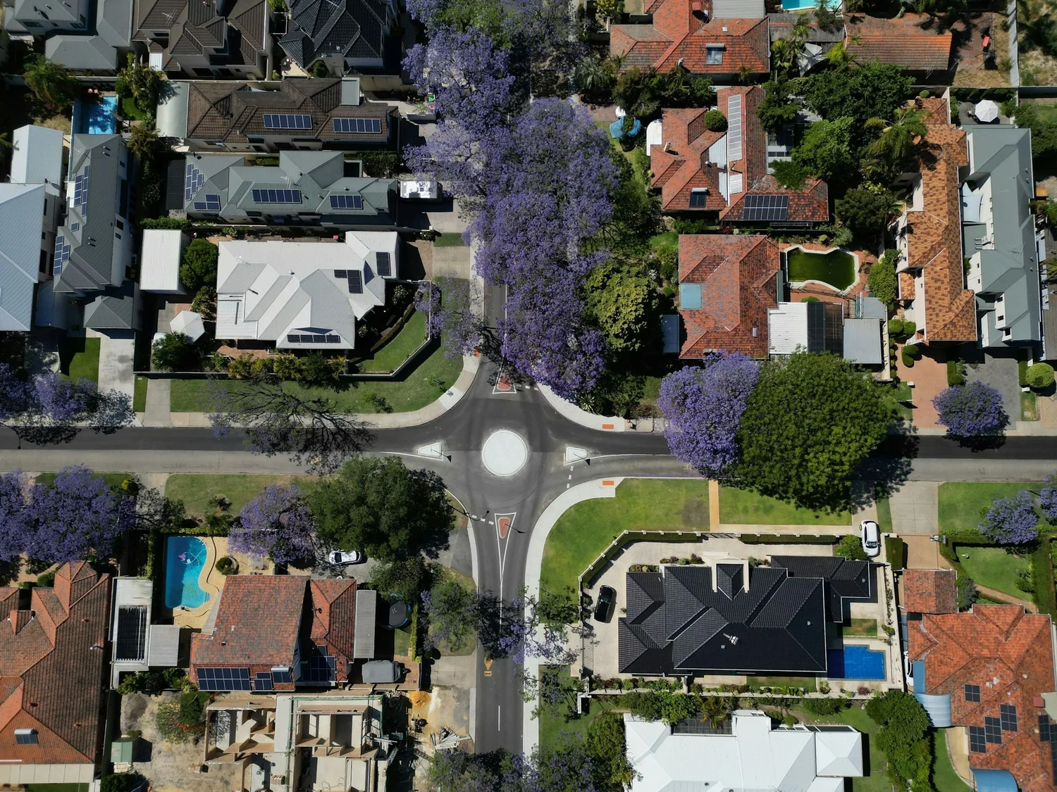 Aerial of a Perth residential street with jacarandas in bloom