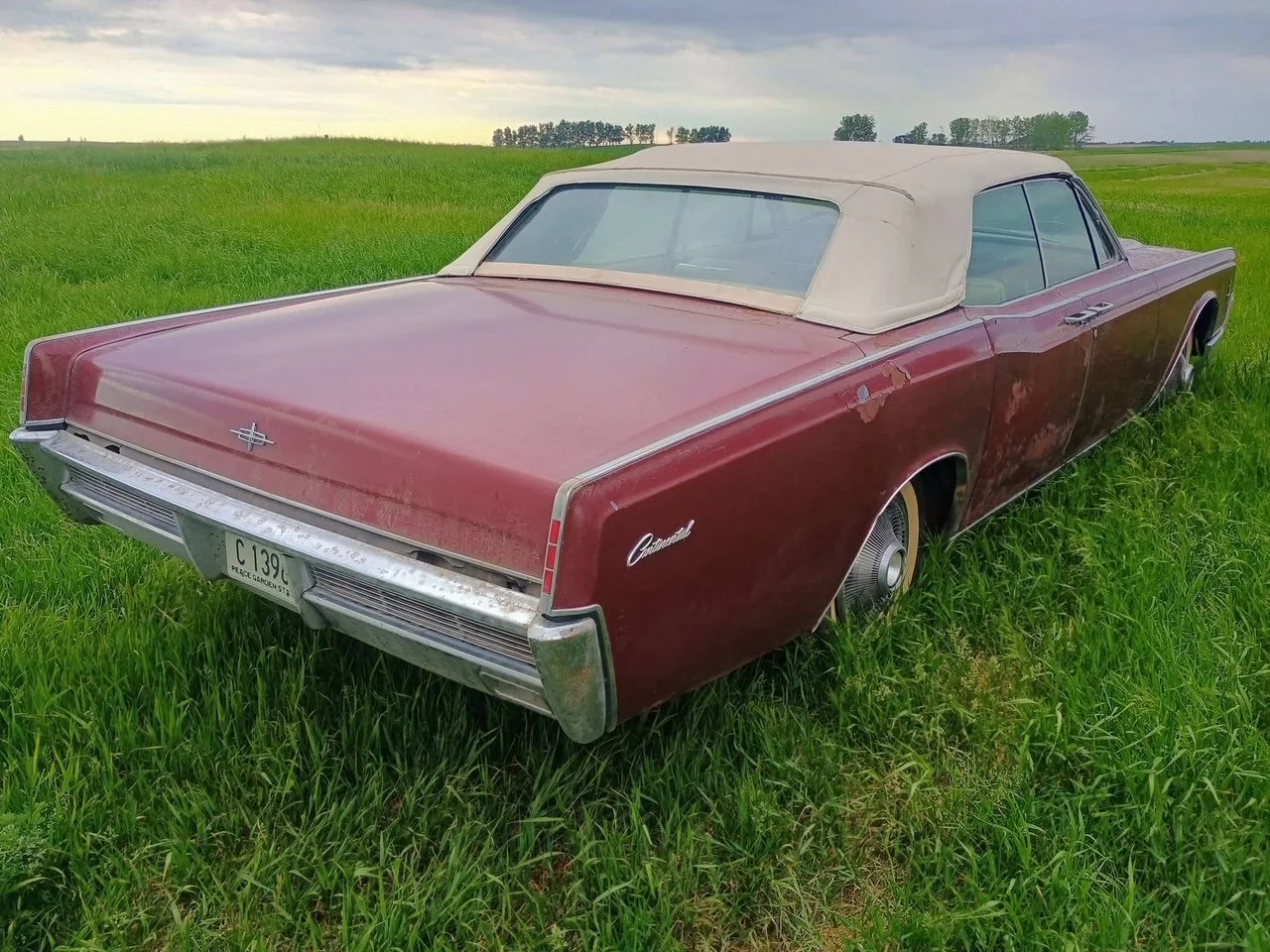 1966 Lincoln Continental Convertible Rear