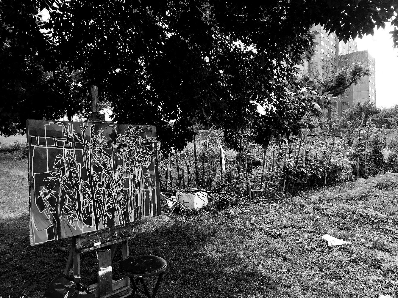 Boyd Street Community Garden, Portland.
