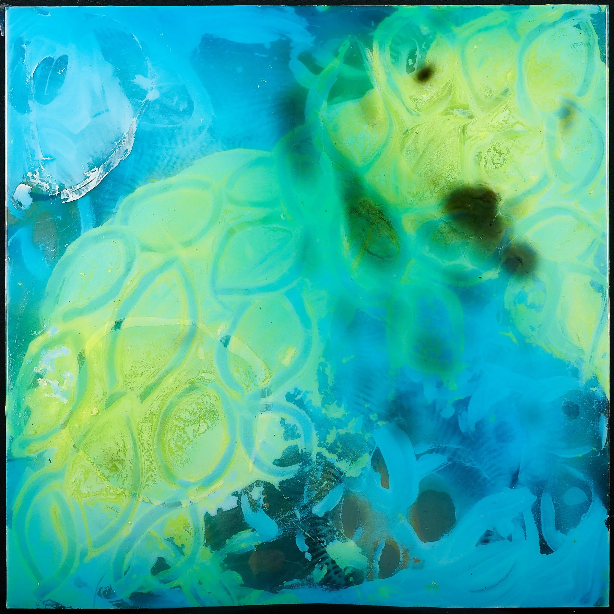 Bioluminescence-inspired painting with rounded yellow-green forms floating across a vivid turquoise surface.