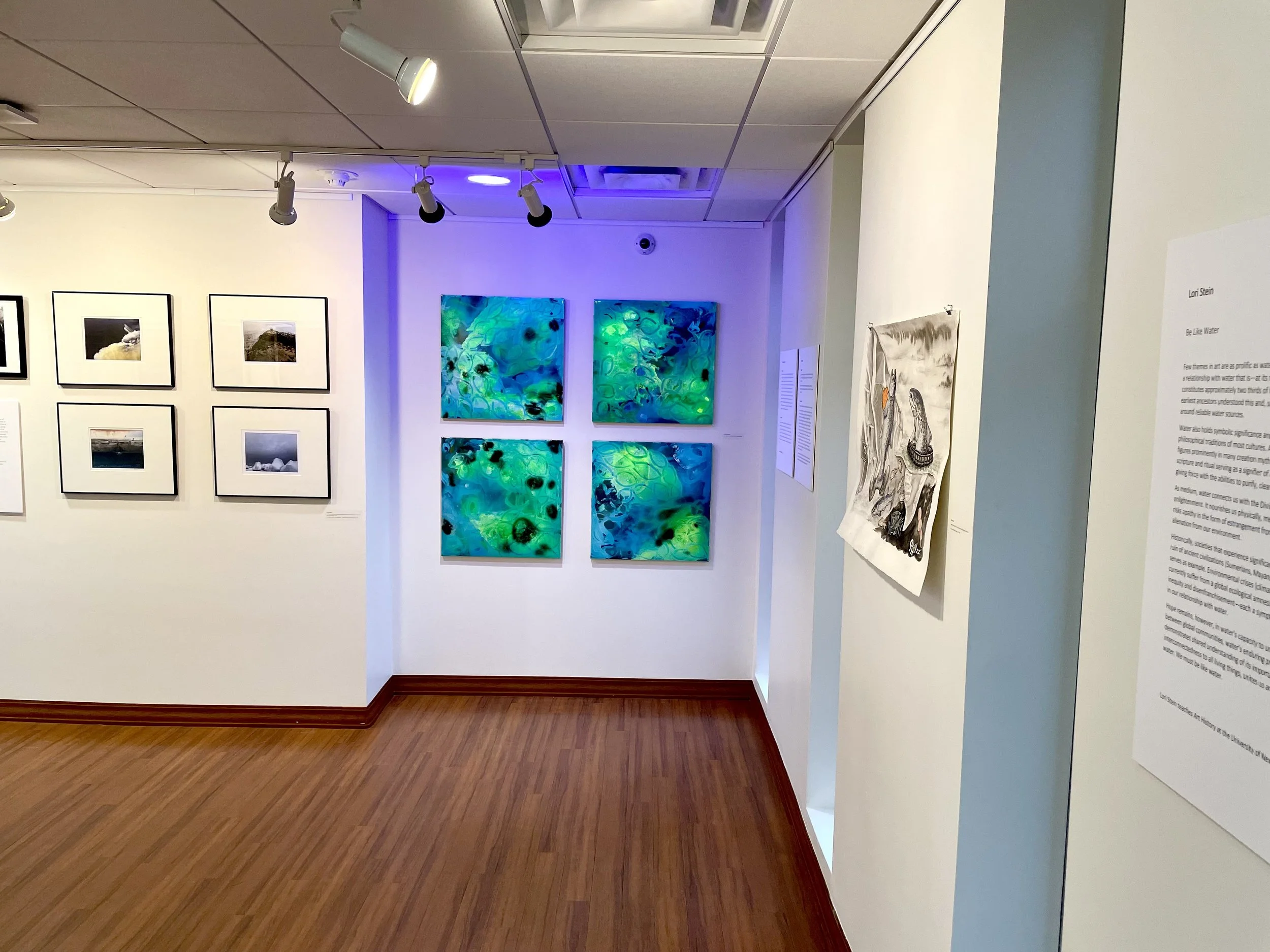 Wide gallery view showing Erin McGee Ferrell’s four bioluminescence paintings in the River to the Sea exhibition at UNE.
