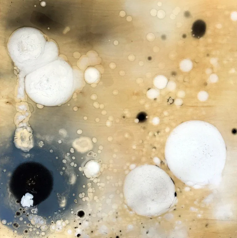 White and dark cellular circles floating across a gold and gray field in a Petri Dish painting.