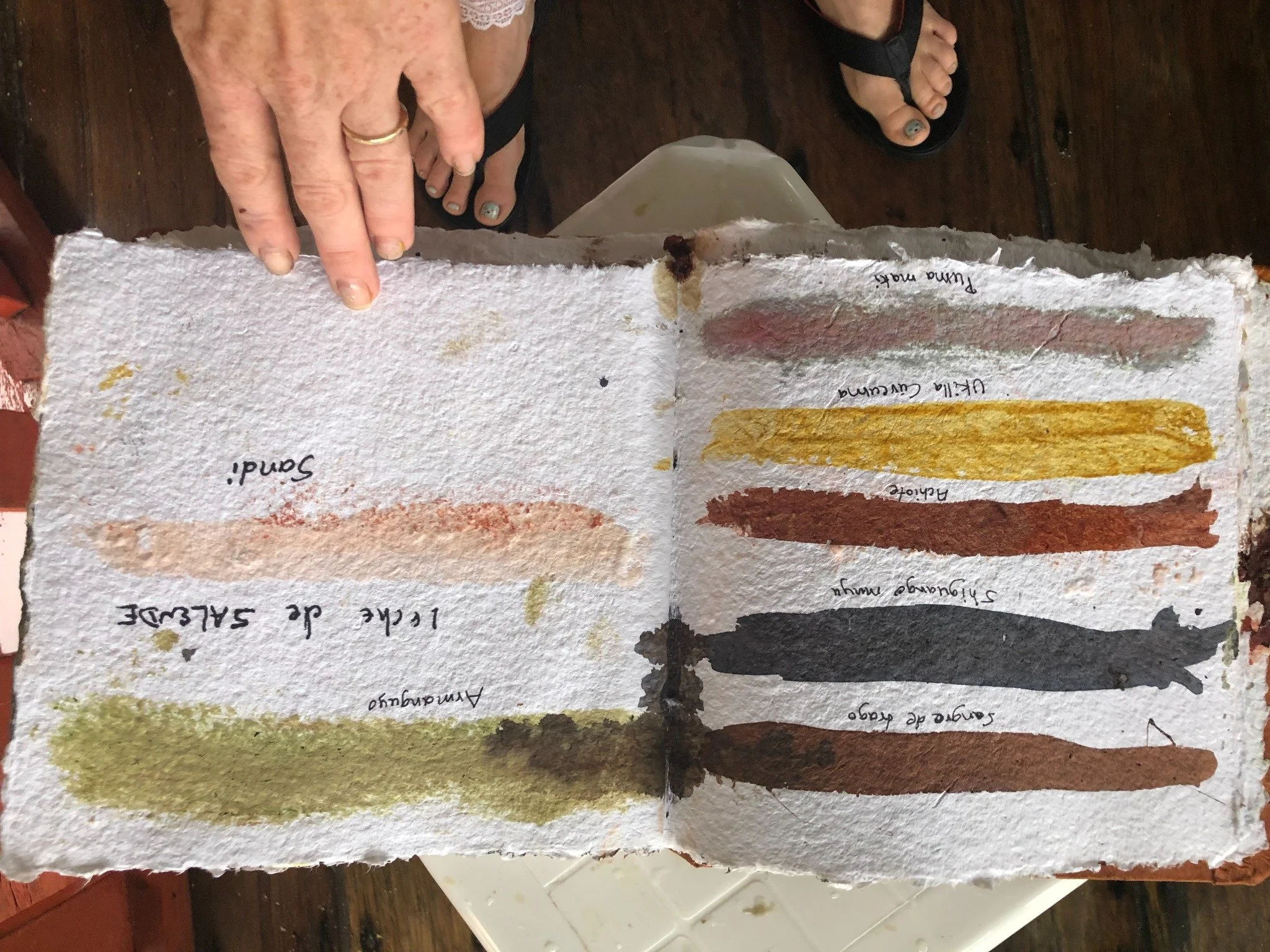Natural pigment swatches on handmade paper, photographed during Erin McGee Ferrell’s learning in Tena, Ecuador.