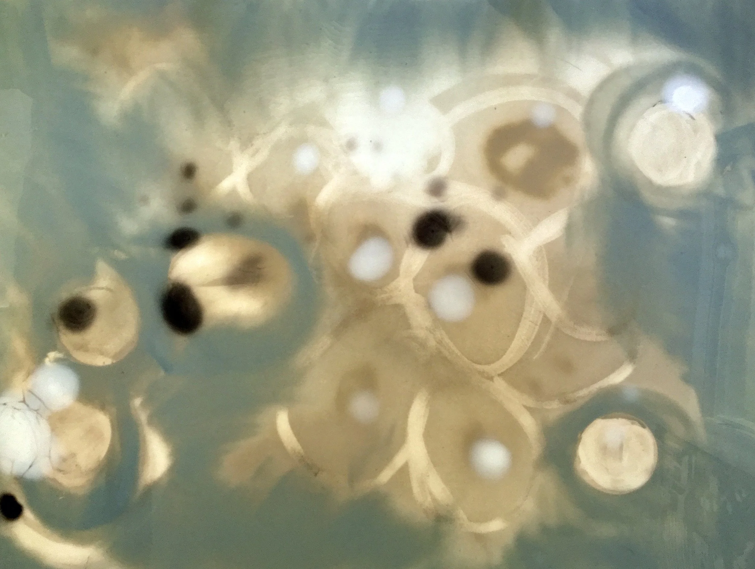 Mixed-media painting from Erin McGee Ferrell’s Petri Dish series, inspired by milkweed and cellular forms.