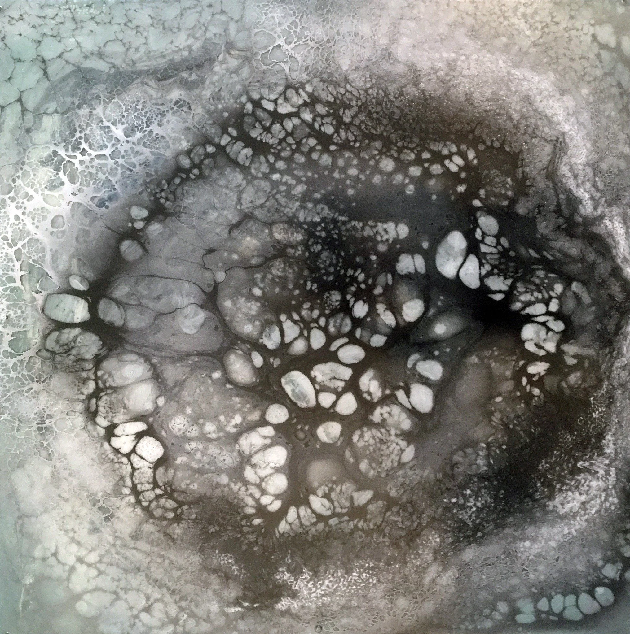 Gray, black, and white cellular networks in a square painting from the Petri Dish series.